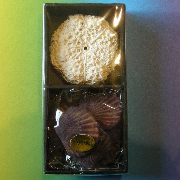 Mini coffret encens coquillages