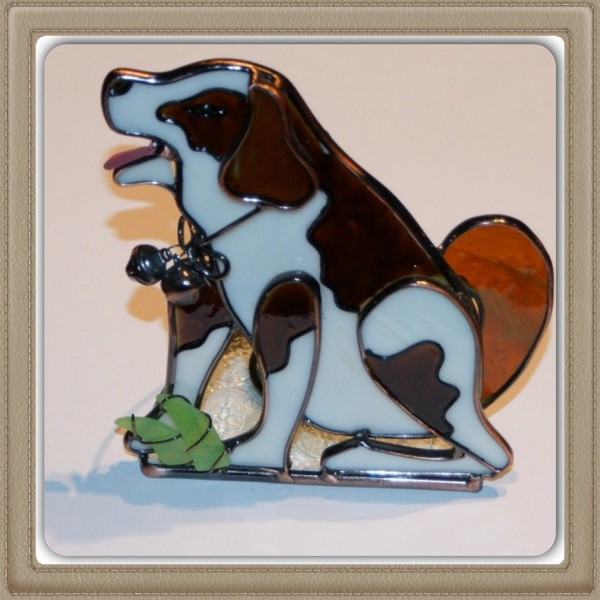 Photophore chien